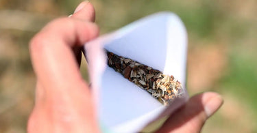 Gardener holding a seed packet of native wildflower seeds.