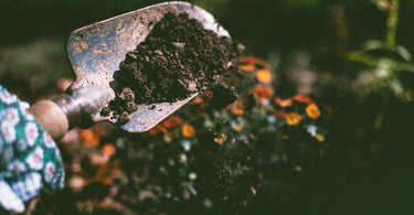 Gardener with a trowel filled with soil