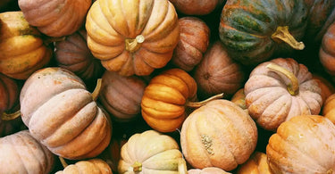 Pinetree Garden Seeds winter squash mix in a pile.