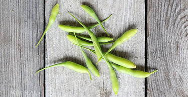 Backyard garden grown radish pods.