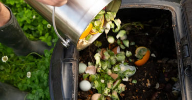 Gardener dumping countertop composter into large compost bin
