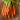 Adelaide Carrot (F1 Hybrid 65 Days) - Vegetables