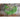 Blue Lake 274 Bush Bean (53 Days) - Vegetables