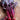 Bulls Blood Beet Microgreens (1oz) - Vegetables