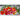 Carousel Mix Zinnia - Flowers