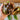 Chocolate Beauty Pepper (74 Days) - Vegetables