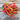 Corbaci Pepper (Heirloom 75 Days) - Vegetables