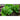 Crisp Mint Lettuce (60 Days) - Vegetables