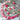 Double Raspberry Ripple Zahara Zinnia - Flowers