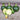 Eightball Zucchini Summer Squash (F1 Hybrid 35 Days) - Vegetables