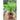 Everleaf Lemon Towers Basil - Herbs