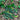 Summer Dance Cucumber (F1 Hybrid 70 Days) - Vegetables