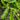 Heirloom Seed Collection - Seed Collections