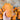 Honeynut Winter Squash (110 Days) - Vegetables