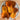 Honeynut Winter Squash (110 Days) - Vegetables