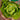 Jericho Lettuce (Organic 60 Days) - Vegetables