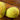 Juane Canary Melon (80-90 Days) - Vegetables