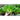 Little Gem Lettuce (50 Days) - Vegetables