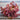 Lollo Rossa Lettuce (53 Days) - Vegetables