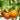 Marmalade Skies Tomato (Organic F1 Hybrid 75 Days) - Vegetables