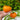 Marmalade Skies Tomato (Organic F1 Hybrid 75 Days) - Vegetables