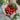 Matts Wild Cherry Tomato (55 Days) - Vegetables
