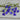 Midnight Blue Regatta Lobelia - Flowers