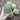 Minnesota Midget Melon (60 Days) - Vegetables