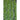 Nemesis Arugula (F1 Hybrid 35 Days) - Vegetables