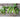 Oregon Giant Snow Pea (65 Days) - Vegetables