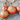 Patterson Onion (F1 Hybrid 104 Days) - Vegetables