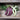 Pingtung Long Eggplant (Heirloom 66 Days) - Vegetables