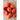 Plum Regal Tomato (F1 Hybrid 75 Days) - Vegetables