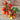 Principe Borghese Tomato (Heirloom 78 Days) - Vegetables