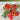 Principe Borghese Tomato (Heirloom 78 Days) - Vegetables