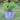 Root Pouch 5 Gallon With Handles - Supplies