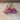 Roselight Statice - Flowers