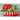 San Marzano Tomato (Heirloom 82 Days) - Vegetables