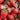 Strawberry ’San Andreas’ - Spring