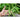 Strike Bush Bean (45 Days) - Vegetables