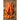Sugar Snax Carrot (F1 Hybrid 63 Days) - Vegetables
