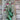 Virichic Tulip - Fall