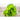 Winter Density Lettuce (28-54 Days) - Vegetables