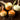 Yellow Sweet Spanish Onion (107 Days) - Vegetables
