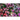 Impatiens - Accent Star Mix - Flowers
