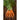 Bambino Carrot (61 Days) - Vegetables