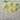 Canary Creeper - Flowers
