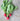 Cherry Belle Radish (Heirloom 21 Days) - Vegetables