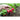 Crunchy King Radish (F1 Hybrid 23 Days) - Vegetables