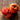 Defiant Tomato (Organic F1 Hybrid 70 Days) - Vegetables